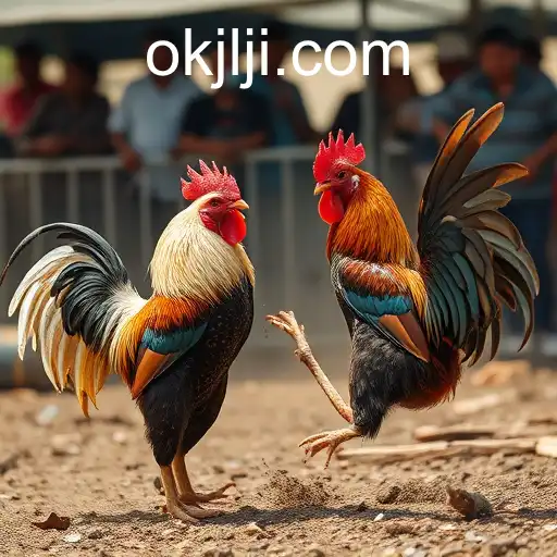 Security and Trust OKJL - International Licenses and Certifications